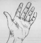Image to recognise for aviaPanda