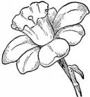 Image to recognise for aviaPanda