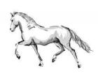 Image to recognise for aviaPanda