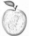 Image to recognise for aviaPanda