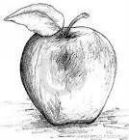 Image to recognise for aviaPanda