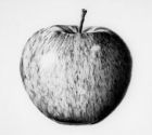Image to recognise for aviaPanda