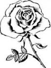 Image to recognise for aviaPanda