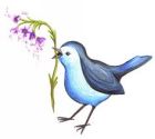 Image to recognise for aviaPanda