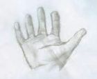 Image to recognise for aviaPanda